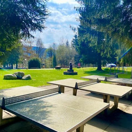Relaxapartments Abendsonne Im Herzen Des Harzes - Ein El Dorado Fuer Wanderer, Biker Und Ruhesuchende - Mit Sonnigem Balkon Und Platz Fuer Bis Zu 3 Personen جوسلار المظهر الخارجي الصورة